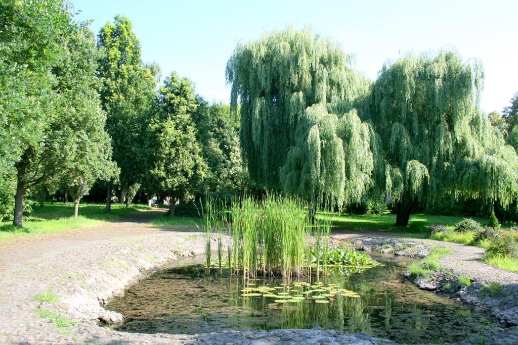 Hotel Odr Sulechow Bagian luar foto